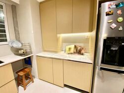 Cavenagh House (D9), Apartment #573373901